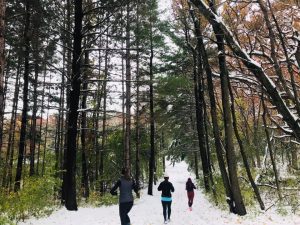 Moms on the Run members running in the snow for winter polar club on path with large trees
