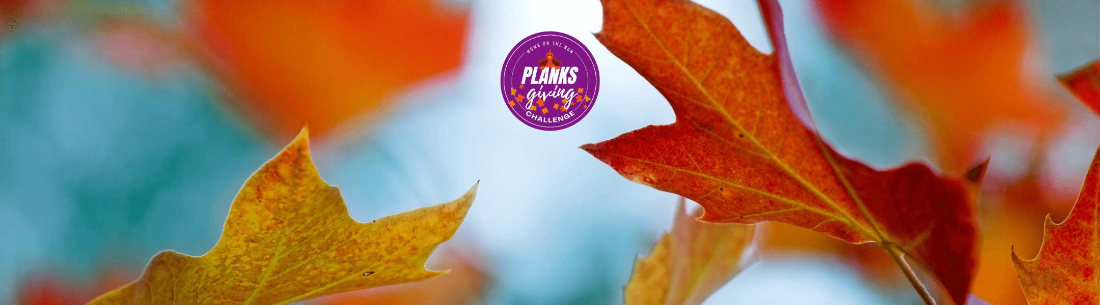 fall leaves with blue sky