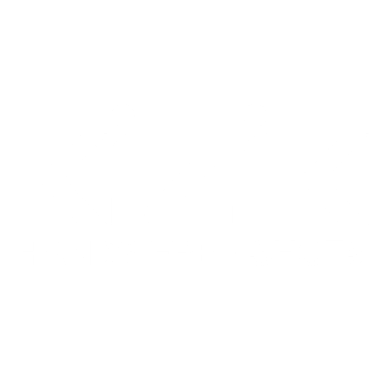 Kizik logo